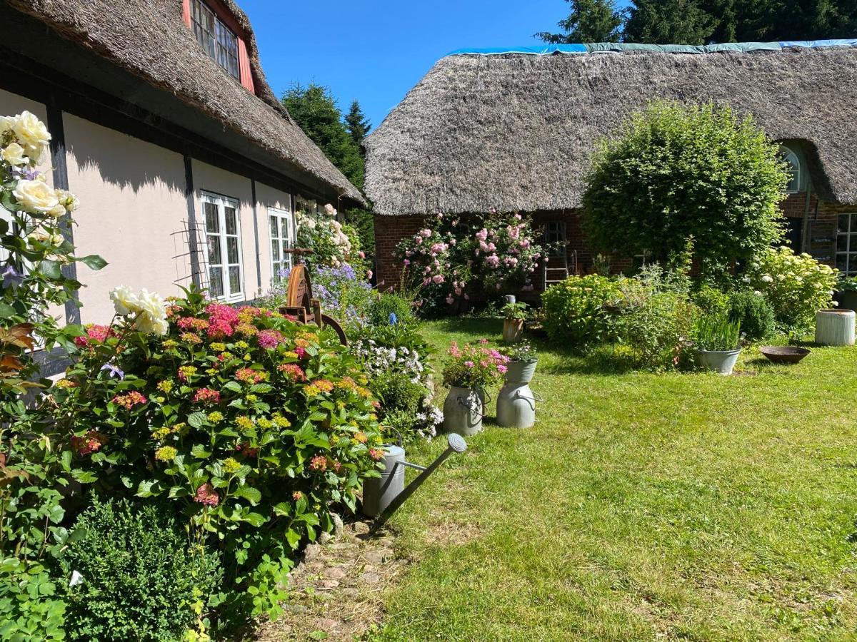 Heddahgaarden Bed & Breakfast Bredal Ngoại thất bức ảnh
